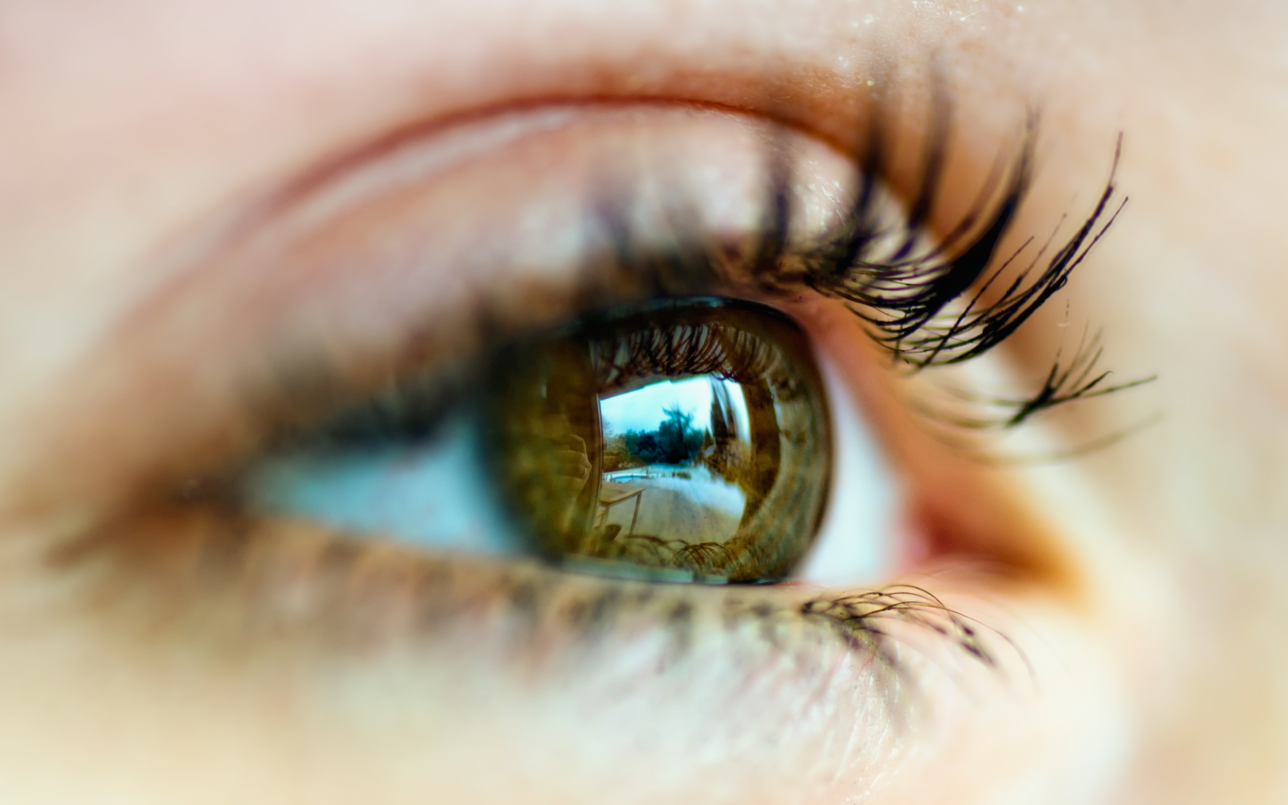 Download Artistic Eye HD Wallpaper