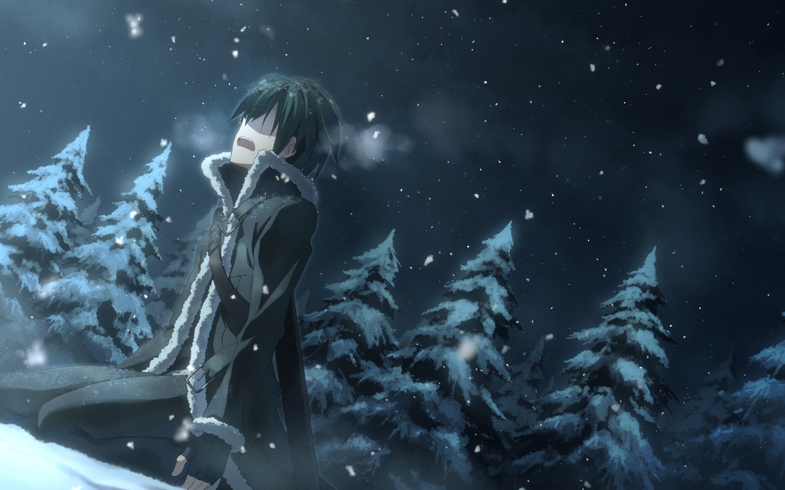 Kirito in Winter Wonderland Sword Art Online HD Wallpaper
