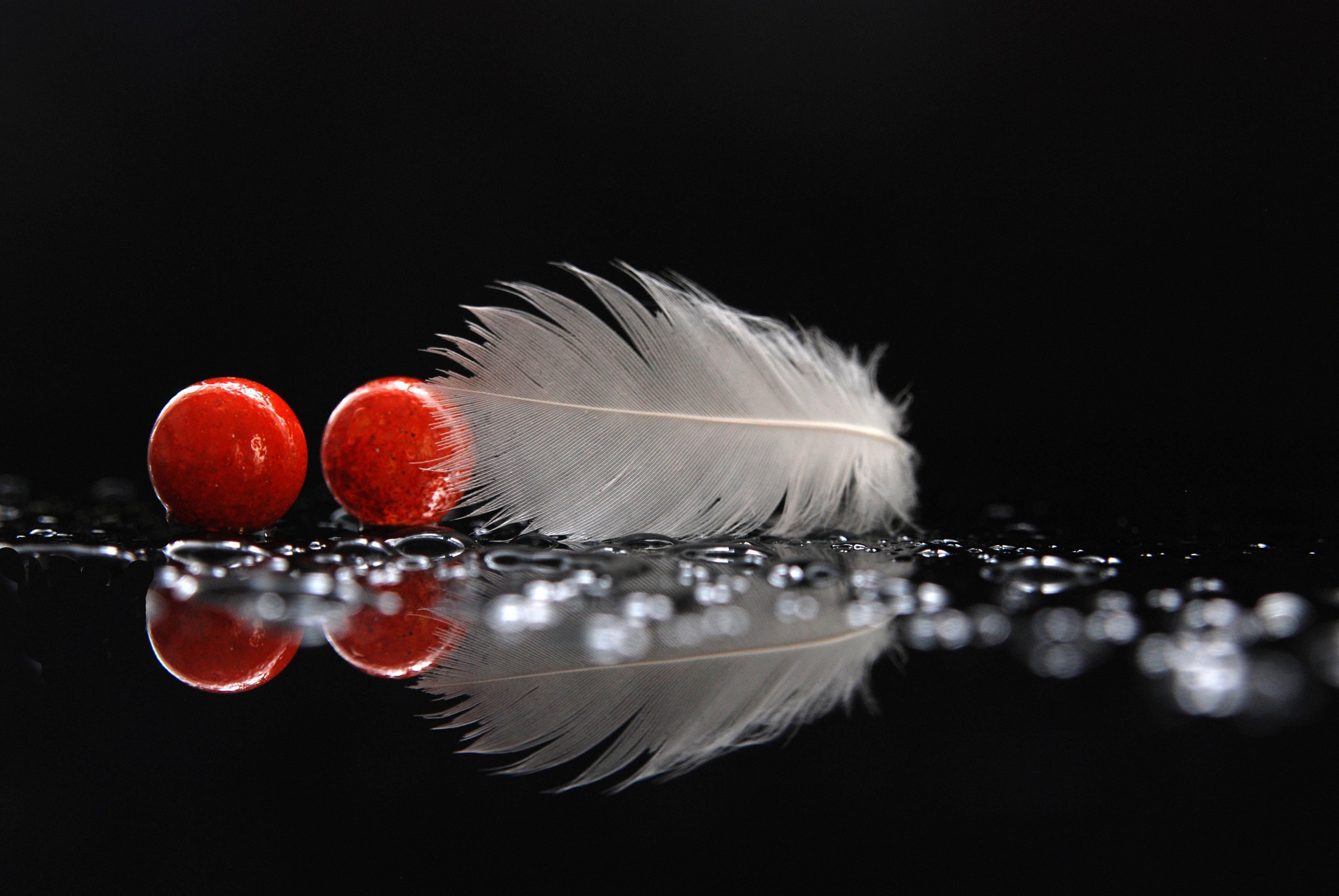 Download Red Ball Reflection Photography Feather 4k Ultra HD Wallpaper