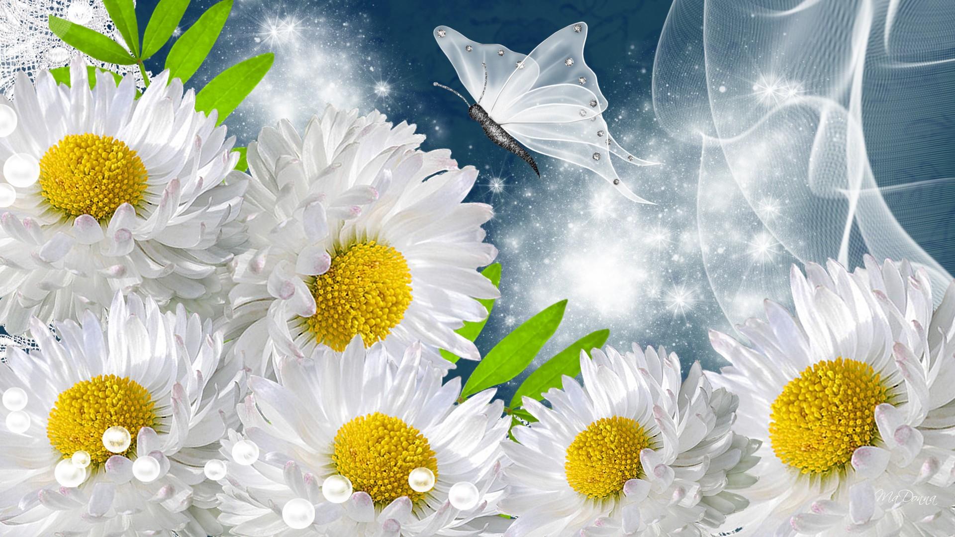HD Wallpaper of Sparkling Daisies and Butterflies by Ma Donna