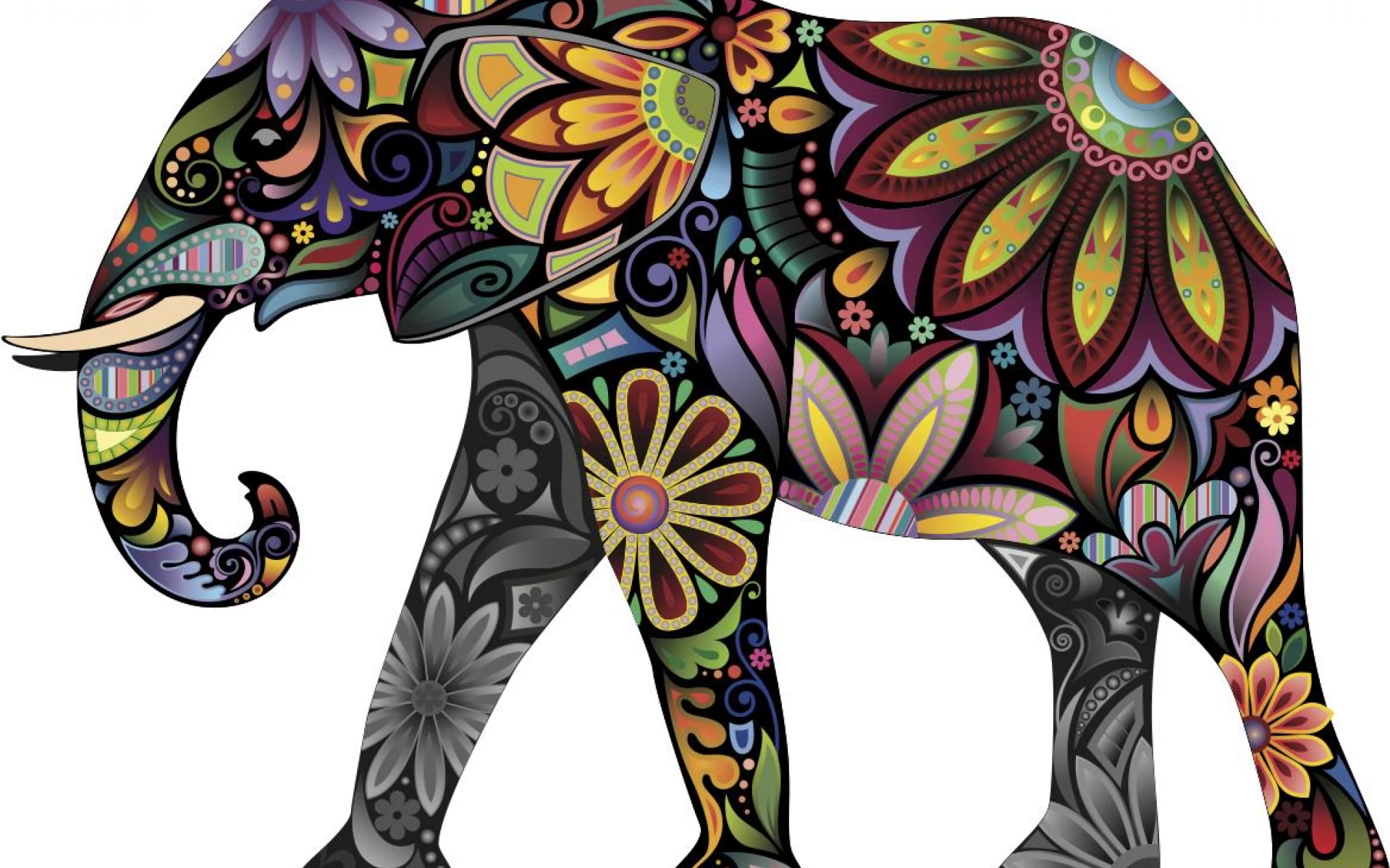 Download Flower Colorful Colors Animal Asian Elephant HD Wallpaper