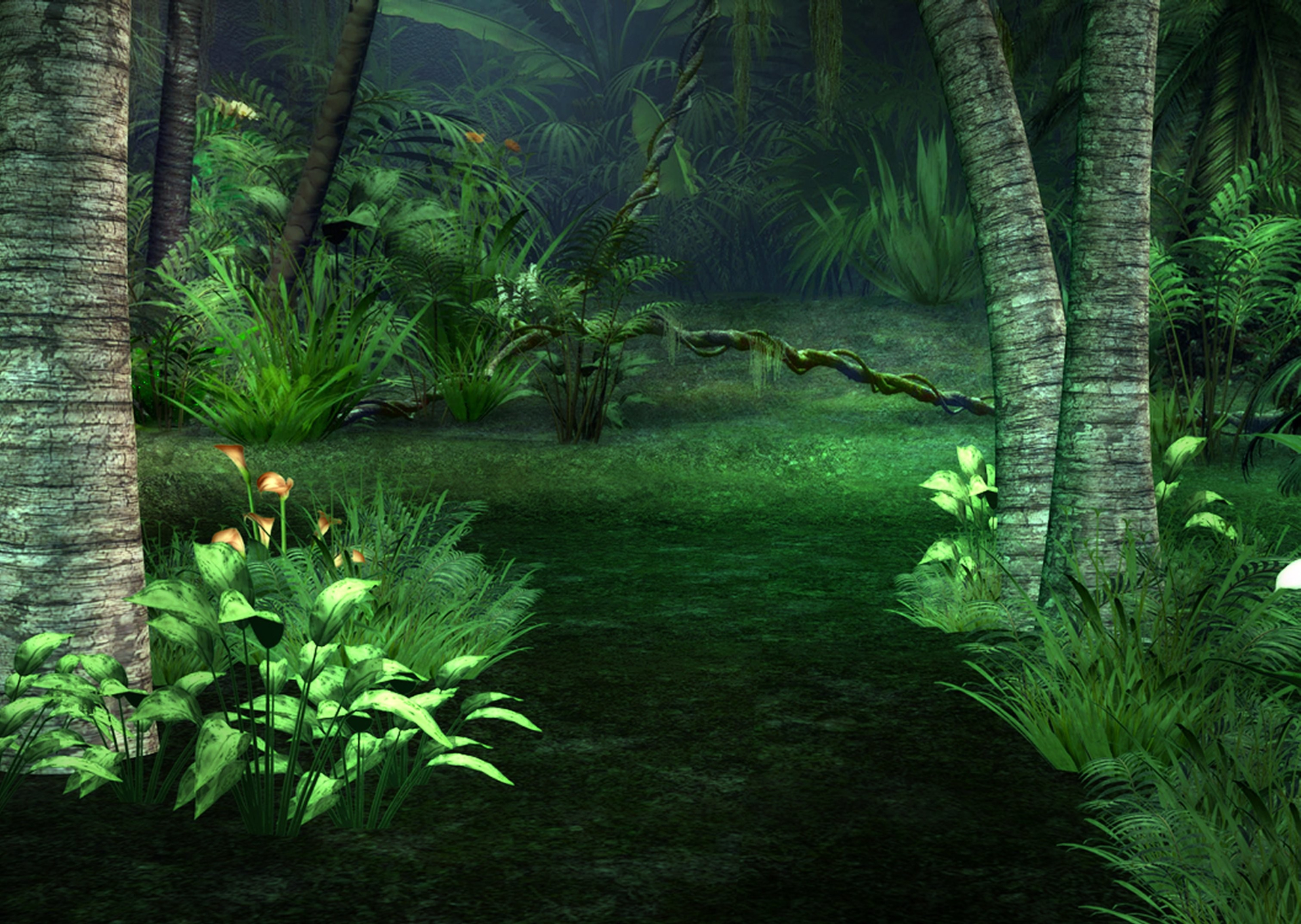Download Jungle Fantasy Artistic Forest HD Wallpaper