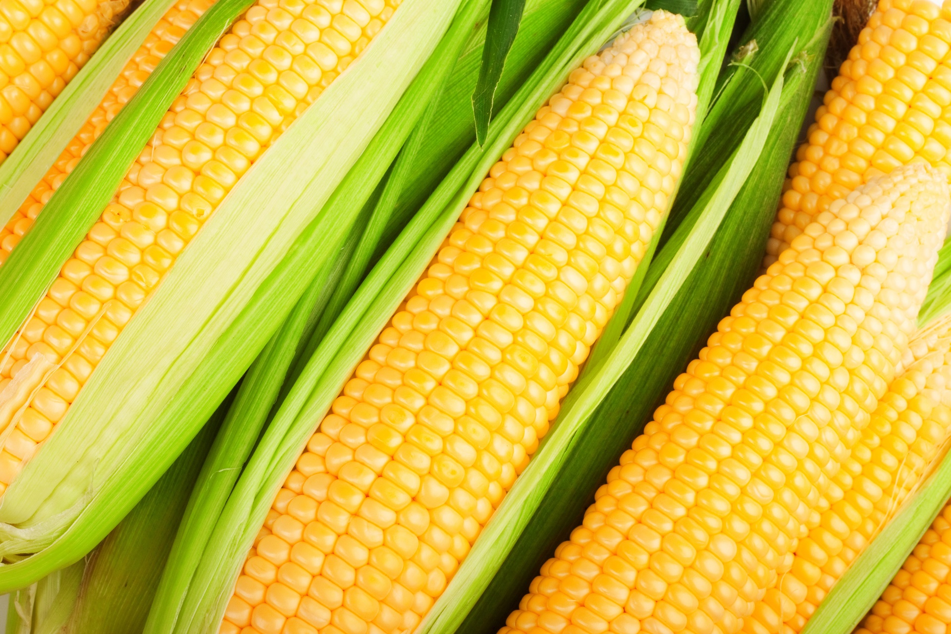 Download Food Corn HD Wallpaper