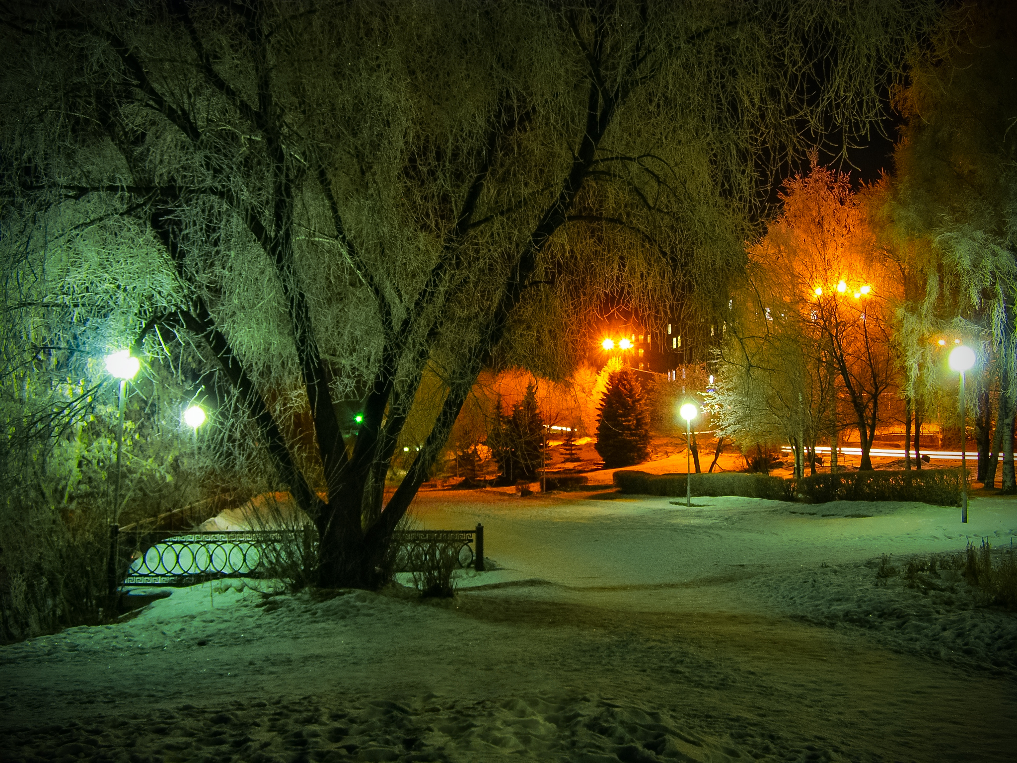 Download Light Night Tree Park Earth Photography Winter HD Wallpaper