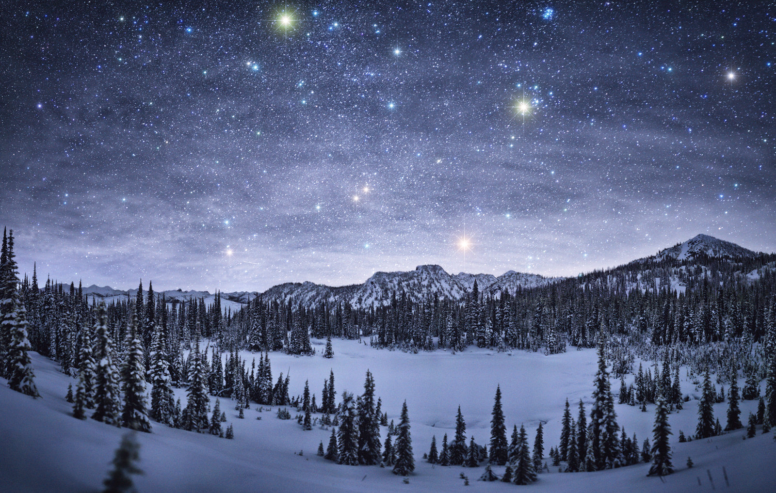 Download Star Night Starry Sky Sky Snow Tree Landscape Nature Winter Wallpaper by NickSpiker