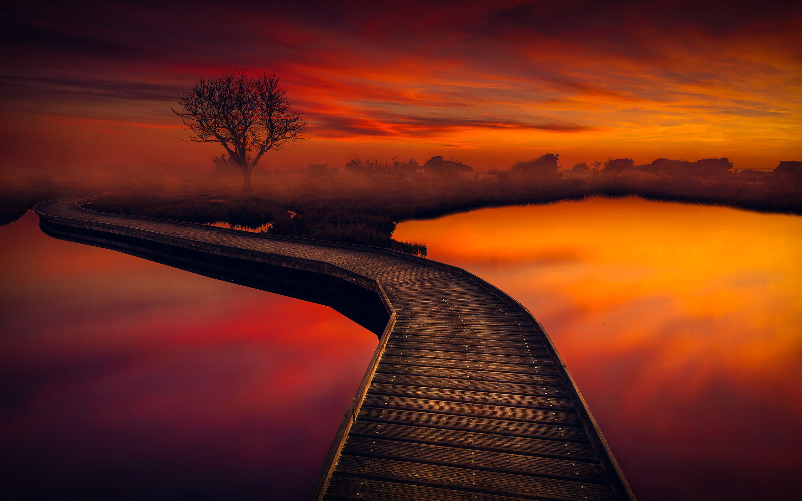Download Tree Path Pier Orange (Color) Photography Sunset HD Wallpaper