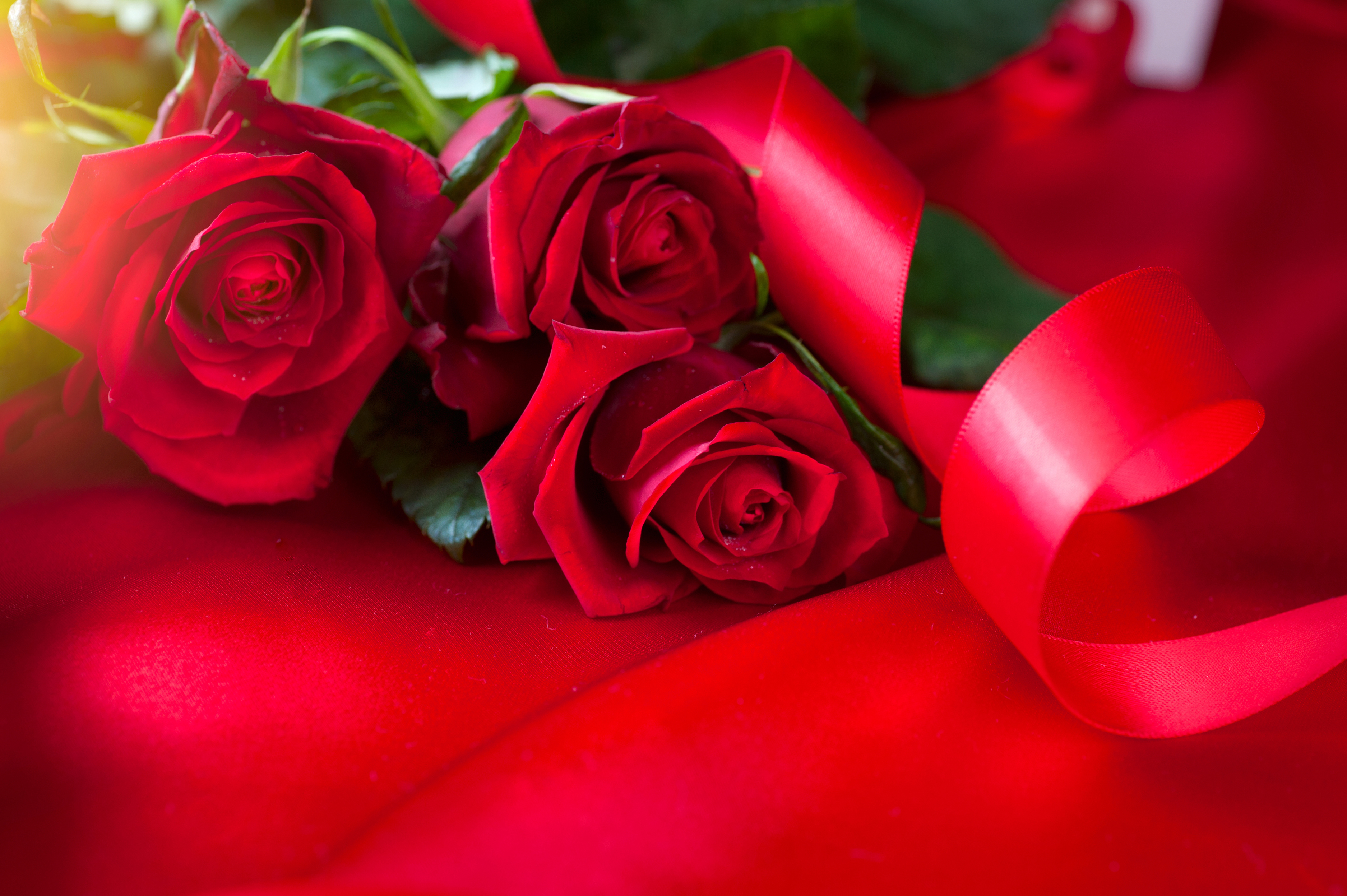 Download Romantic Red Rose Red Flower Rose Man Made Flower HD Wallpaper
