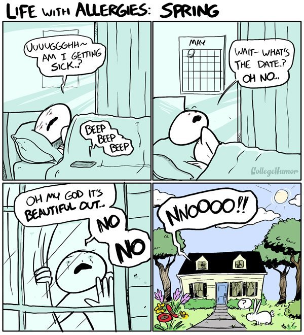 I love summer Meme by mustafatopi ) Memedroid