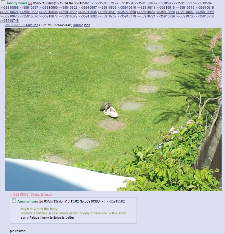 what a lovely day Meme by Title ) Memedroid