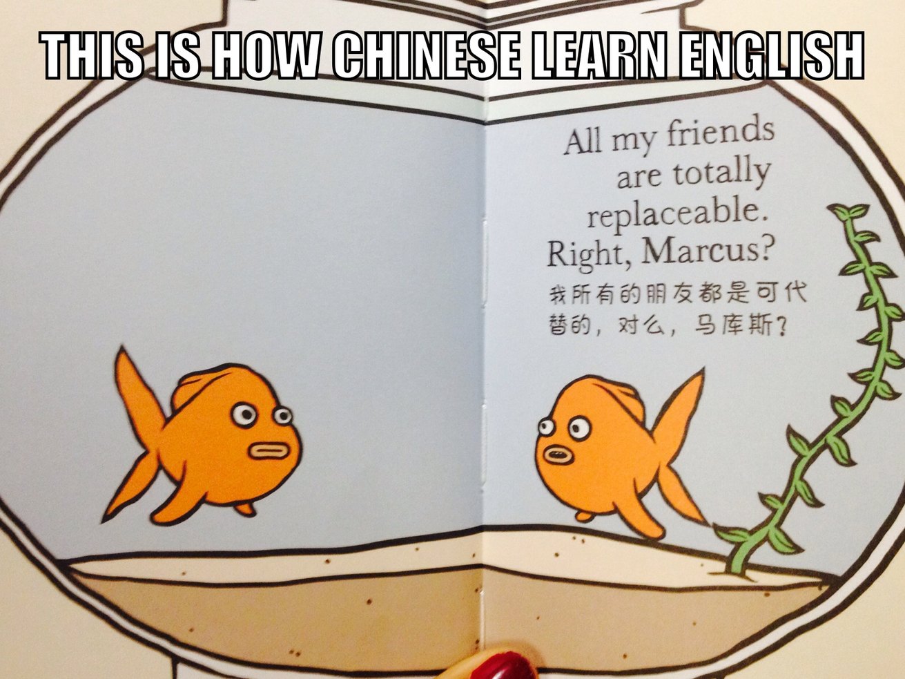 How Chinese learn English Meme by crtslaura ) Memedroid