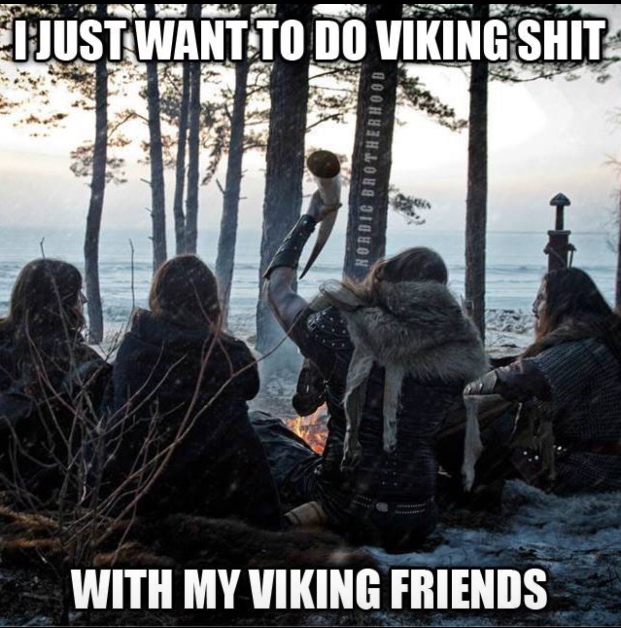 The best Viking memes ) Memedroid