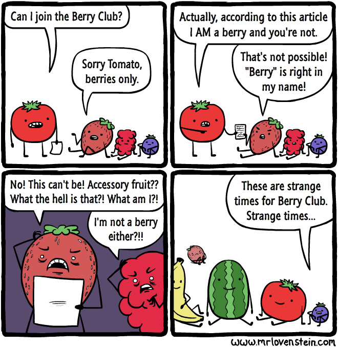 The best Berry memes ) Memedroid