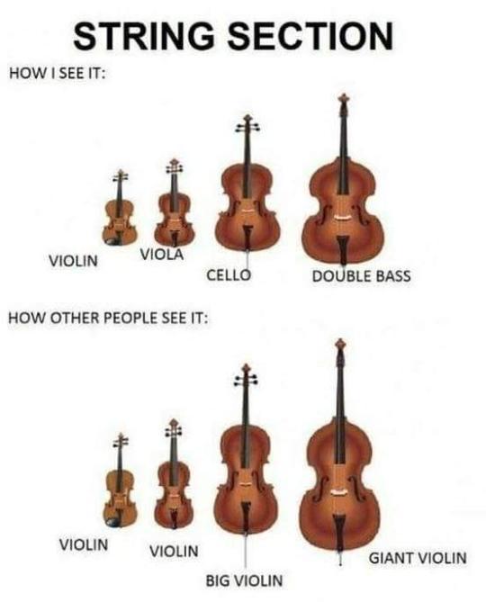 The best Orchestra memes ) Memedroid