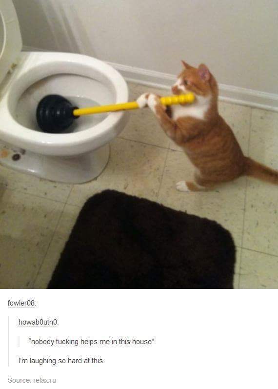 The best Plunger memes ) Memedroid