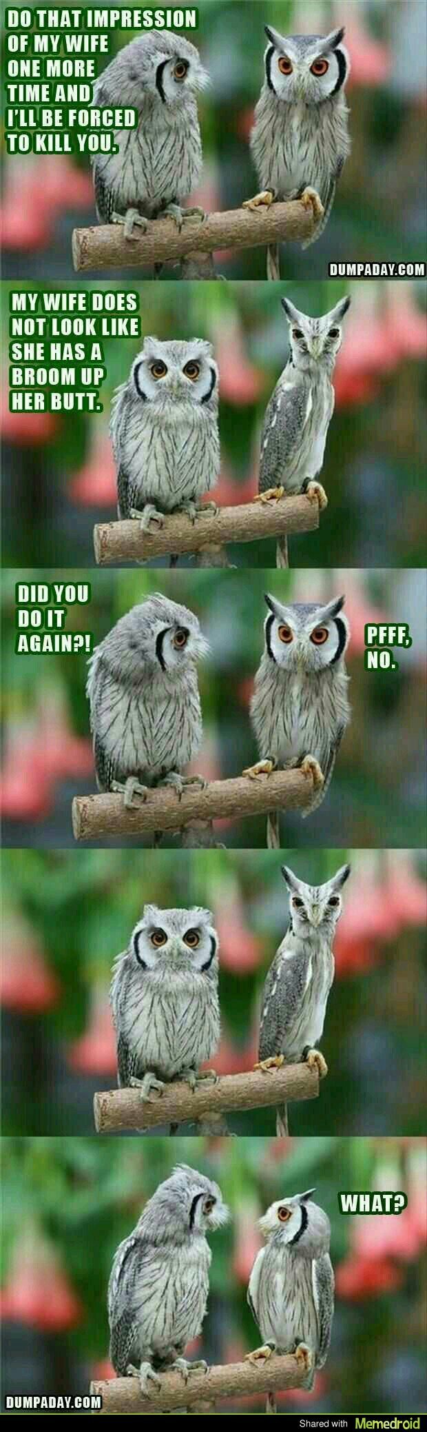 Owl Meme by PfcCarson ) Memedroid