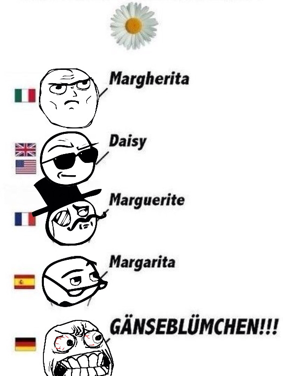 Top memes de alemán en español ) Memedroid