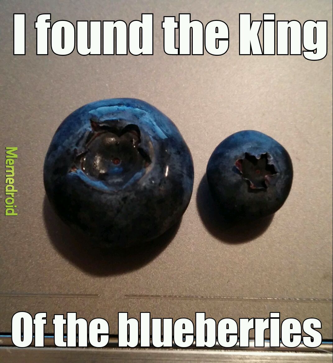 Willy Wonka Blueberry Meme