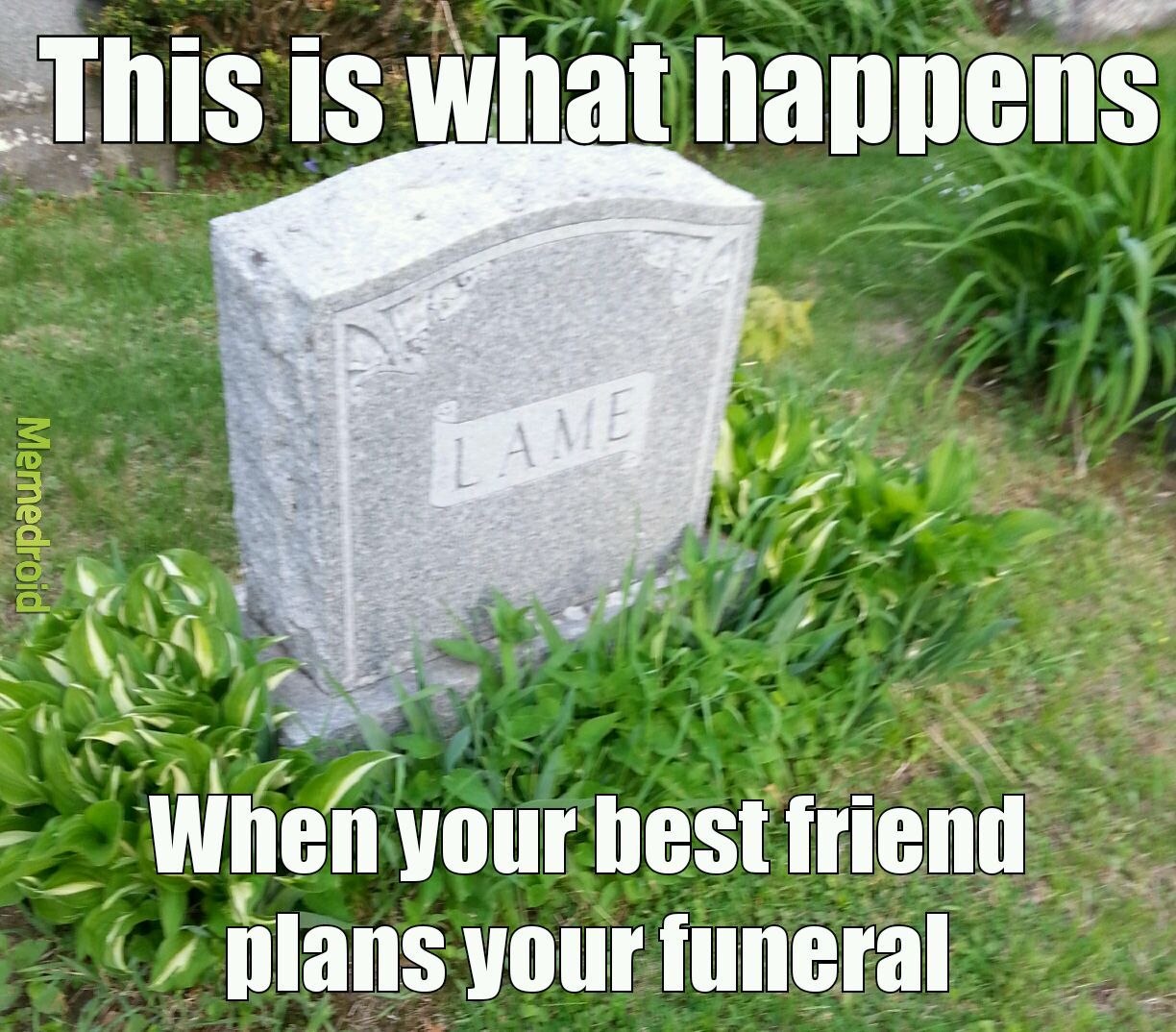 The best Grave memes ) Memedroid