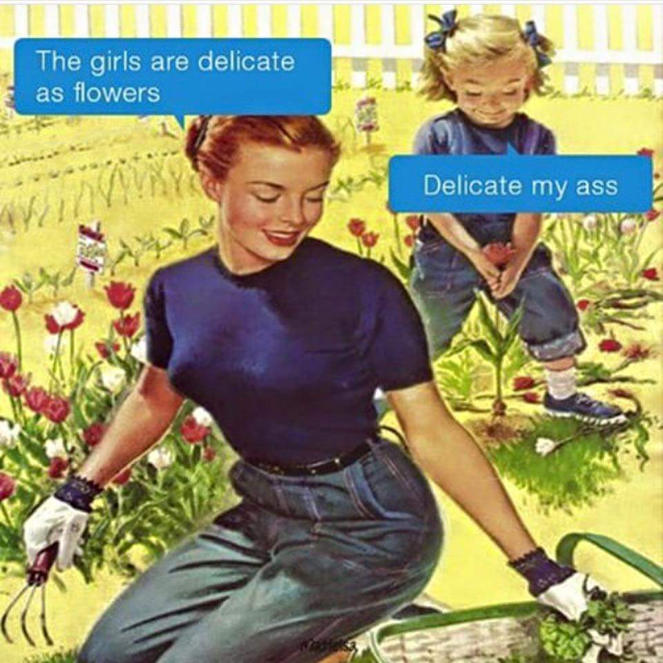 Ide Meme Delicate Flower Terkeren Dunia Meme