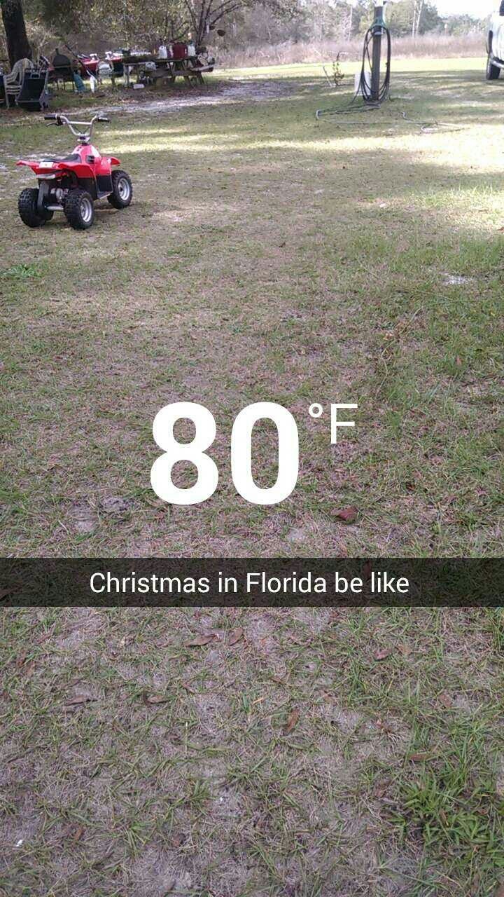 Christmas in Florida Meme by bigtuffcreampuff ) Memedroid
