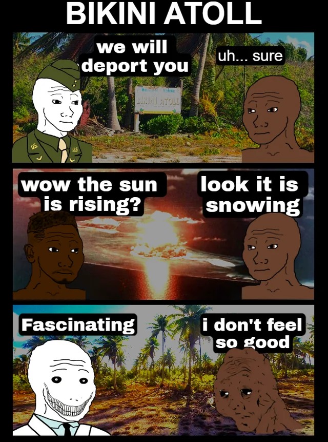 The best Bikini memes ) Memedroid