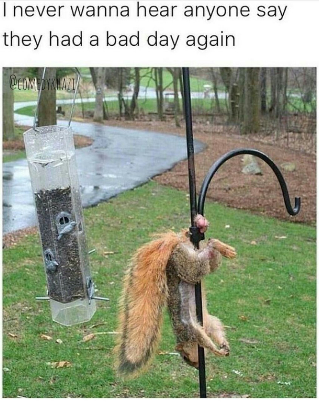 Bad Day Meme by its_kasra ) Memedroid