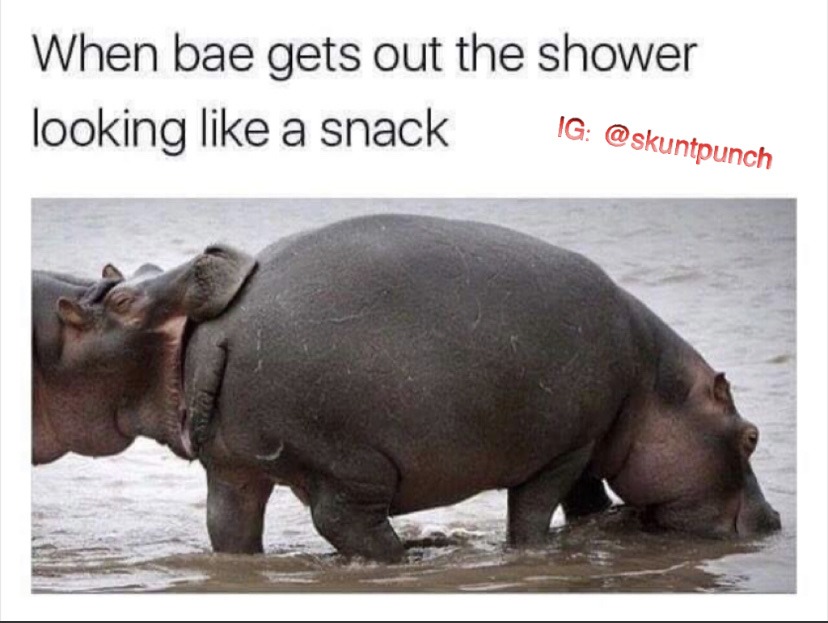 hippo Meme by skuntpunch ) Memedroid