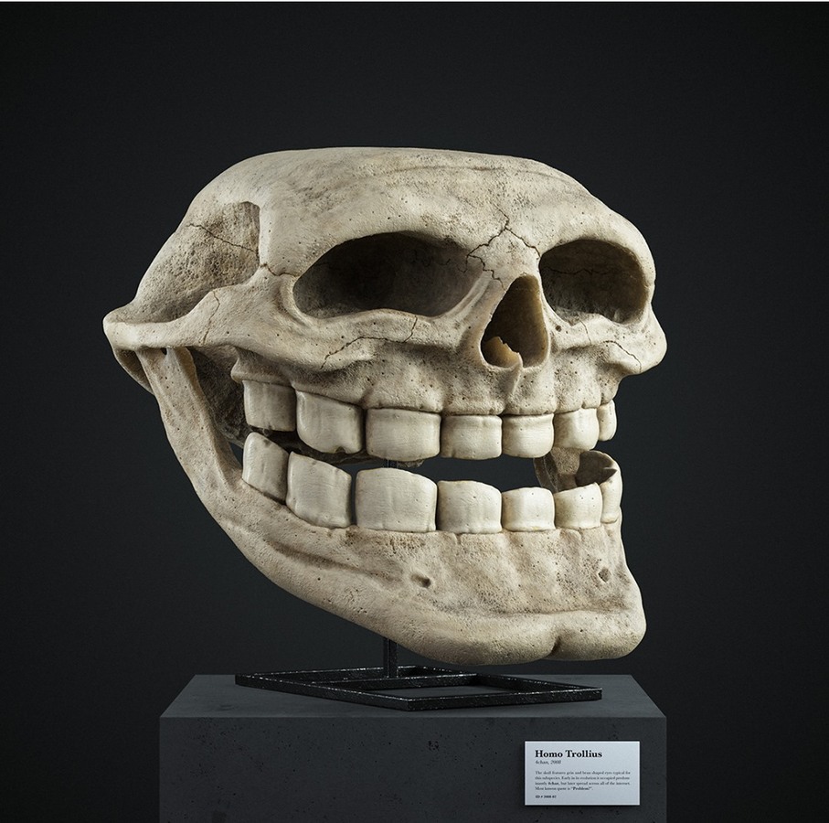 The best skull memes ) Memedroid