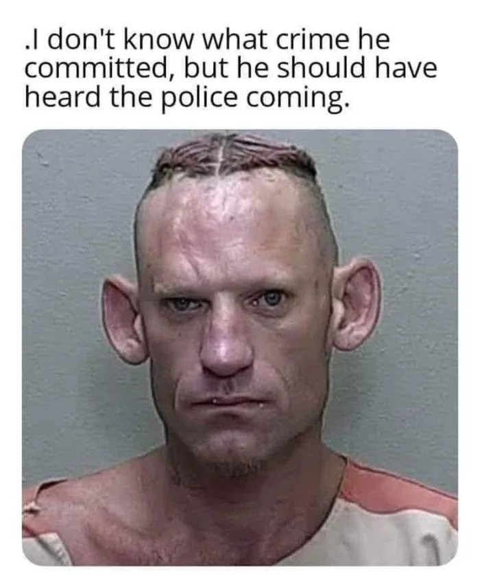 The best Ears memes ) Memedroid