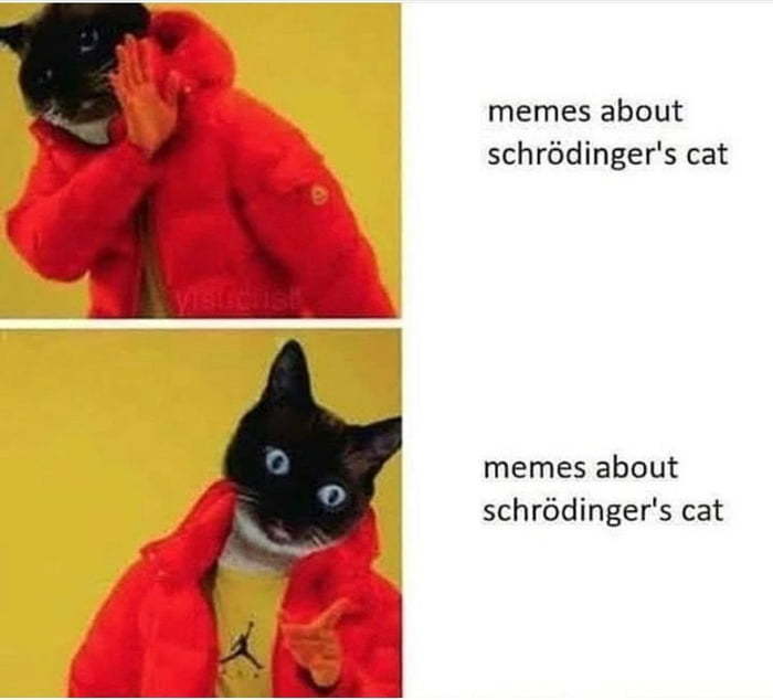Schrodingers Cat Meme
