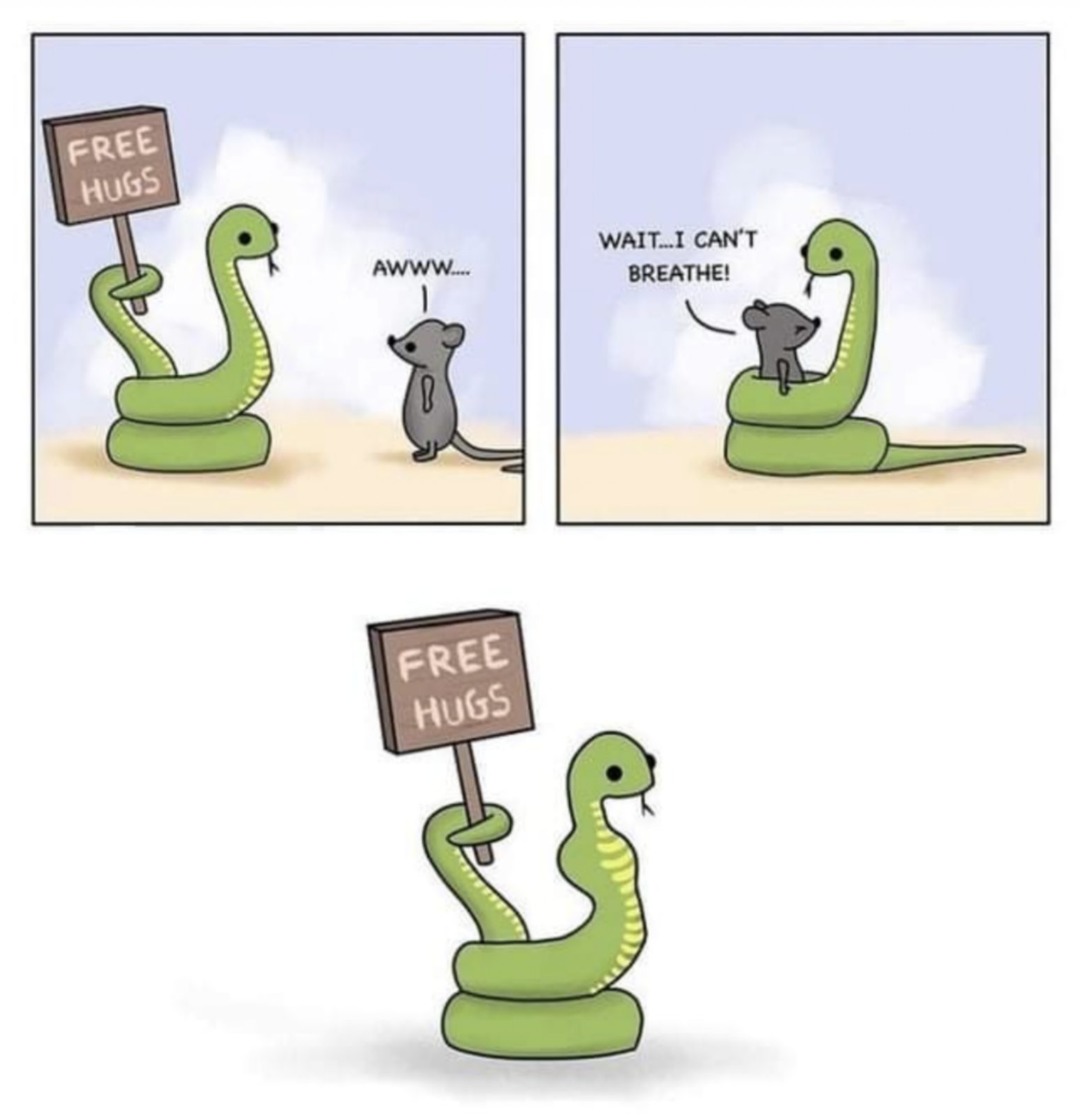 The best Snake memes ) Memedroid