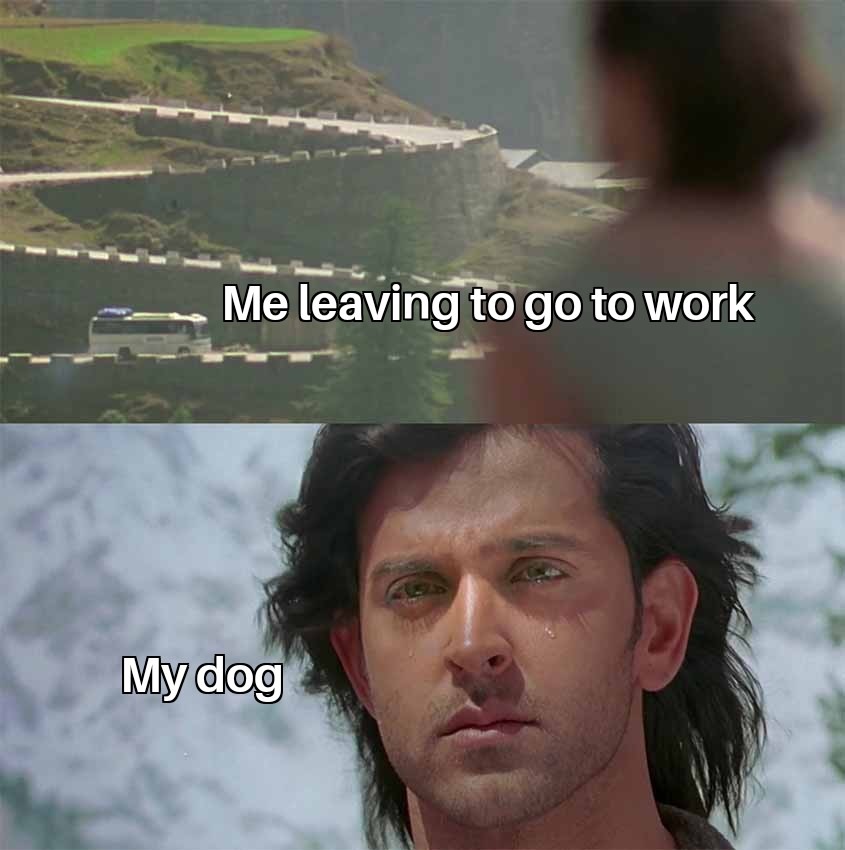 She doesn't like when I leave Meme subido por Jacob2020 ) Memedroid