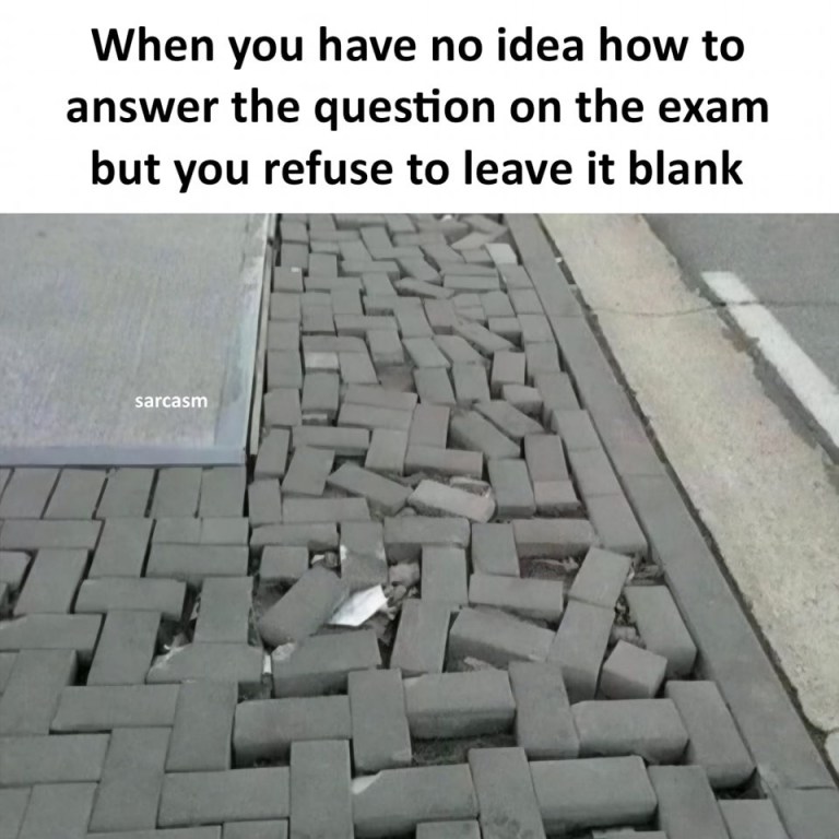 ﻿When you have no idea how to answer the question on the exam but you refuse to leave it blank Sarcasm
