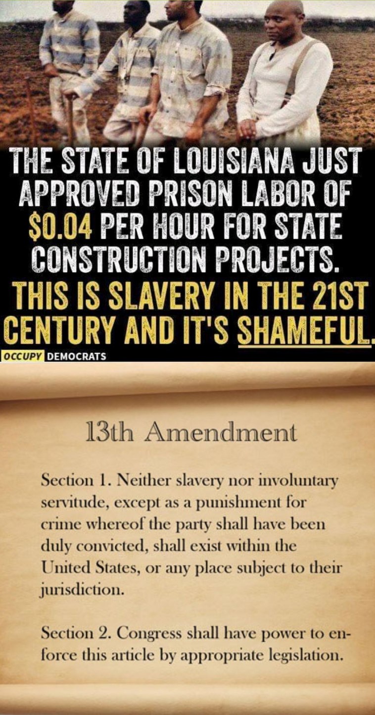 The best maga memes ) Memedroid