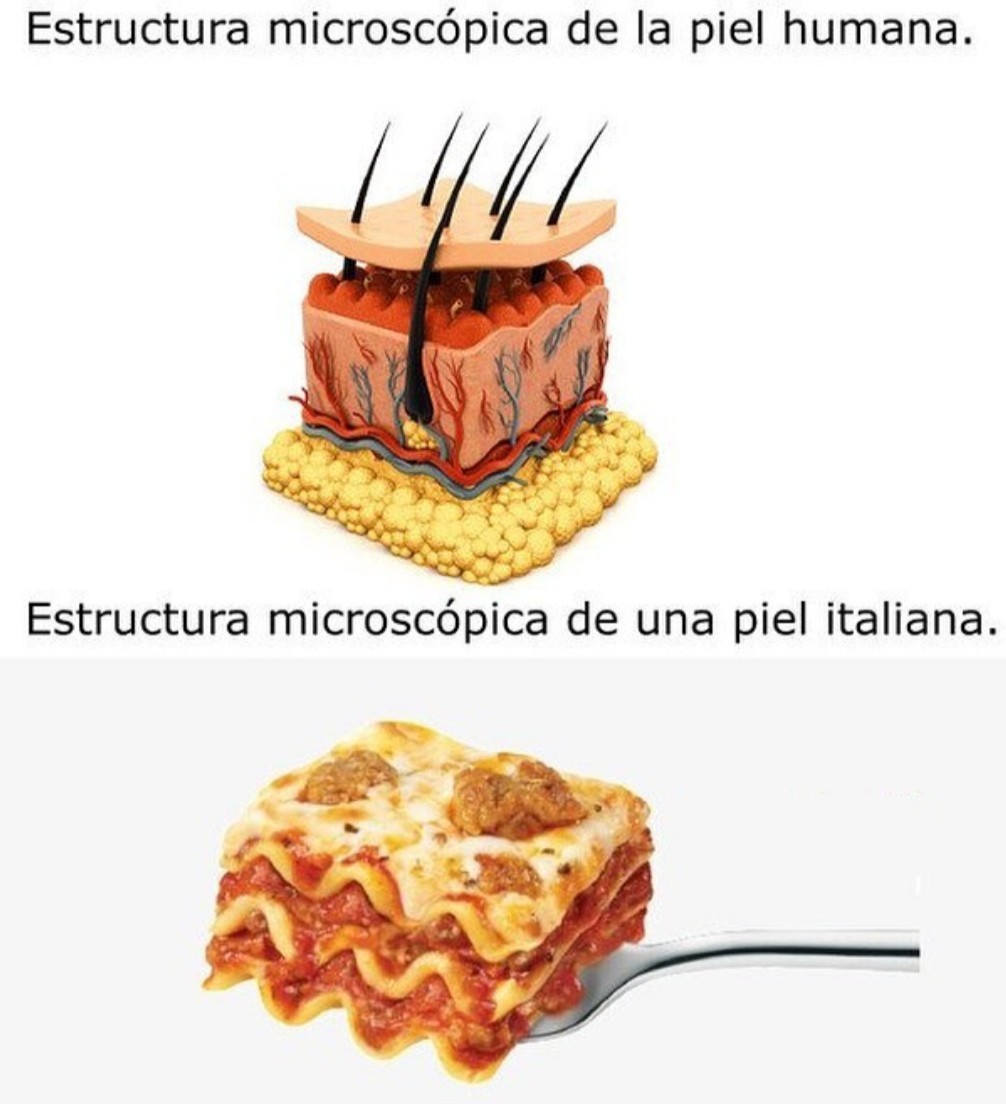 Lasagna Meme subido por Blue62442 ) Memedroid