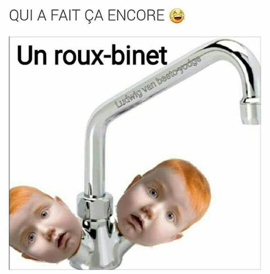 The best roux memes ) Memedroid