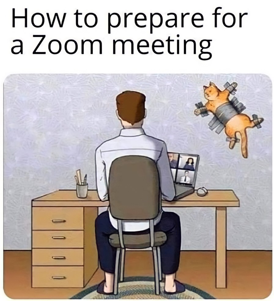 How to prepare for a Zoom meeting Meme by schizoidman ) Memedroid