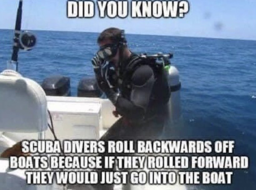 Scuba Meme subido por TimyHorton. ) Memedroid