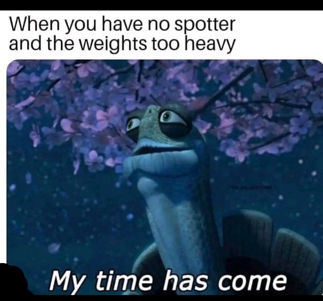 The best Bodybuilder memes ) Memedroid