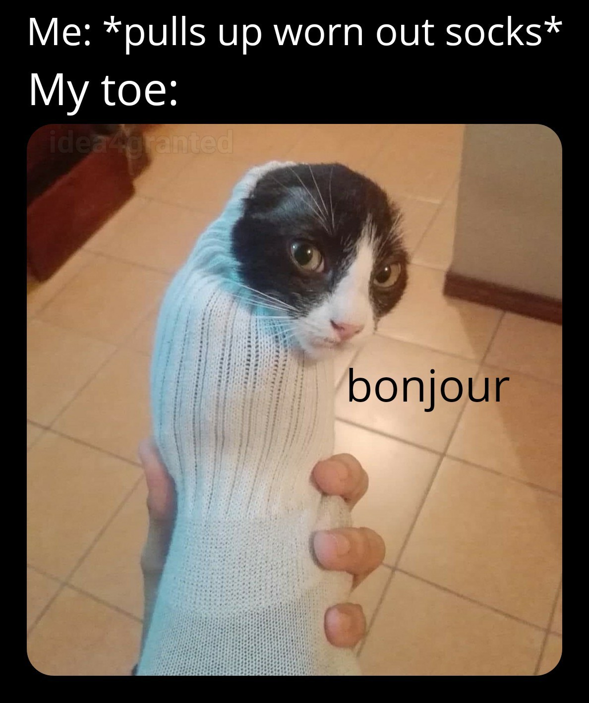 The best Sock memes ) Memedroid