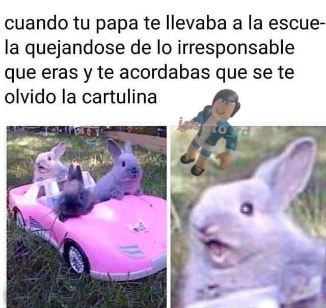 Top Memes De Conejo En Espanol Memedroid
