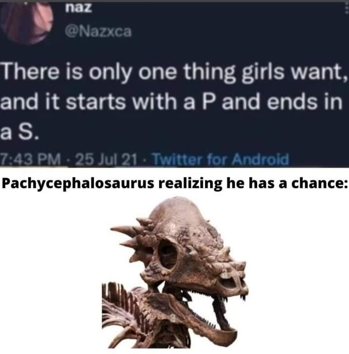 Who's a cute Dinosaur? Meme subido por RADFROOD25 ) Memedroid