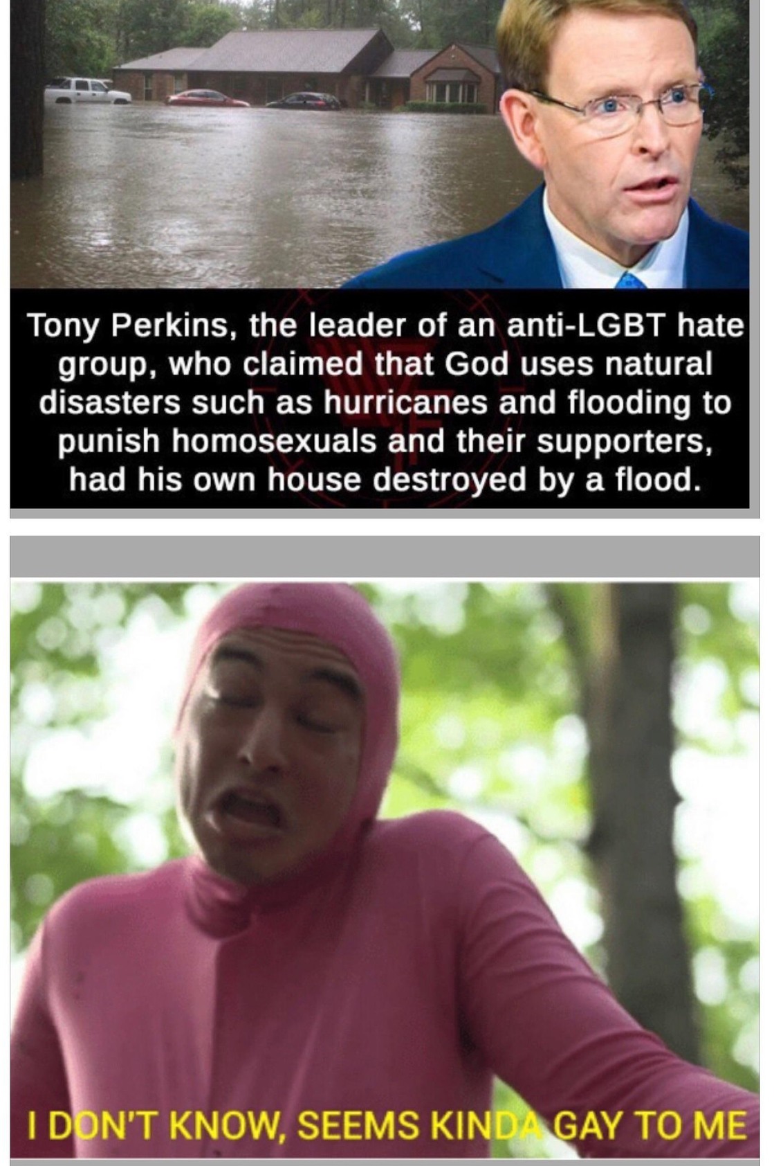 The best gay memes ) Memedroid