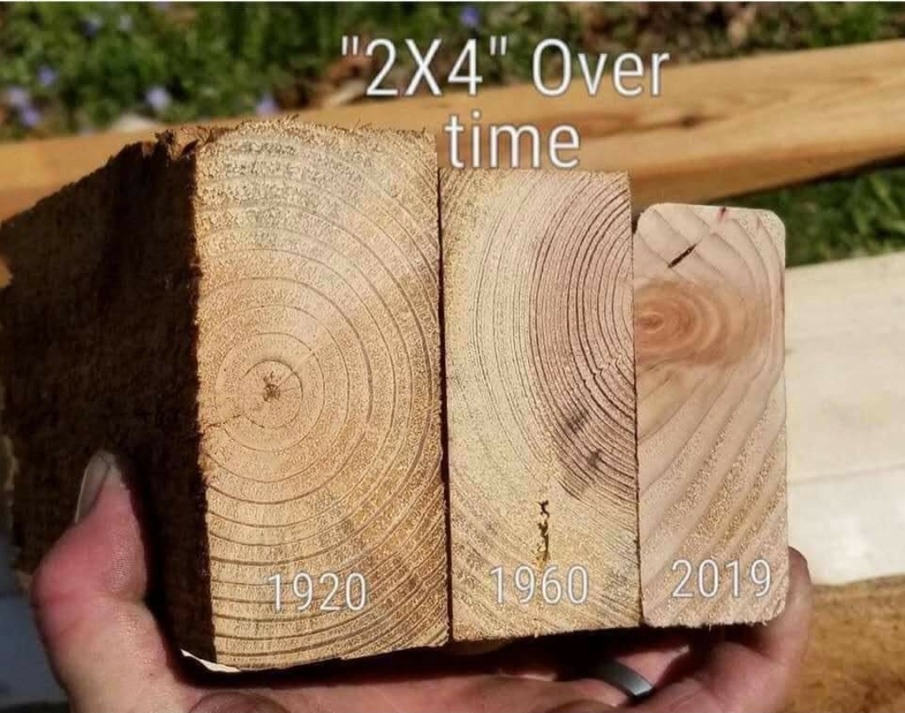 The best Wood memes ) Memedroid