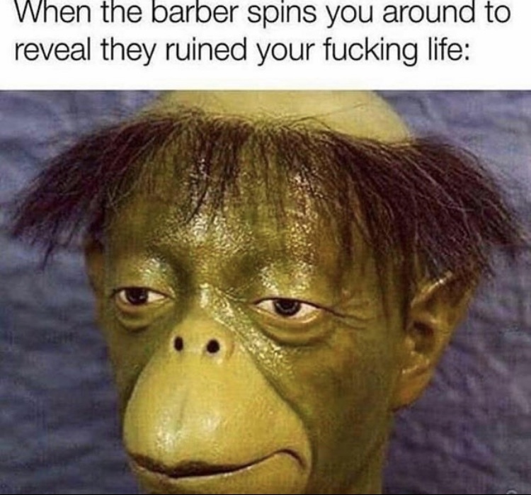 The best barber memes ) Memedroid