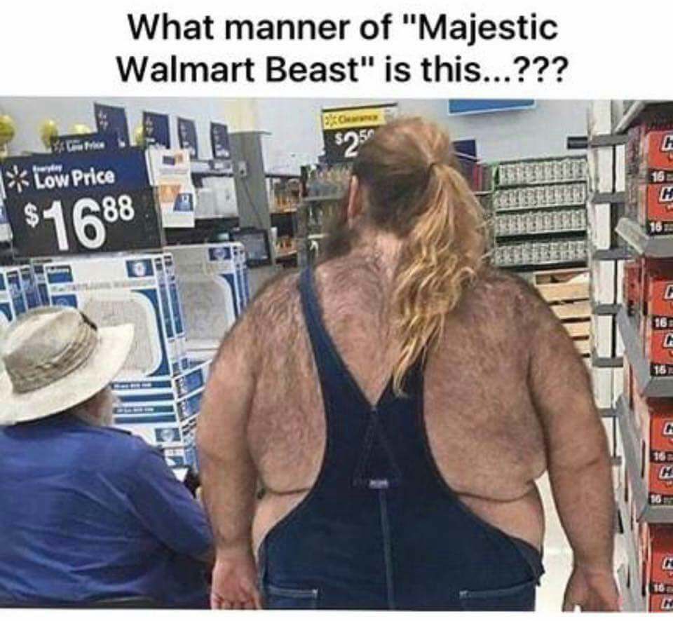 The chronicles of WalMart Meme by supreme.omega ) Memedroid