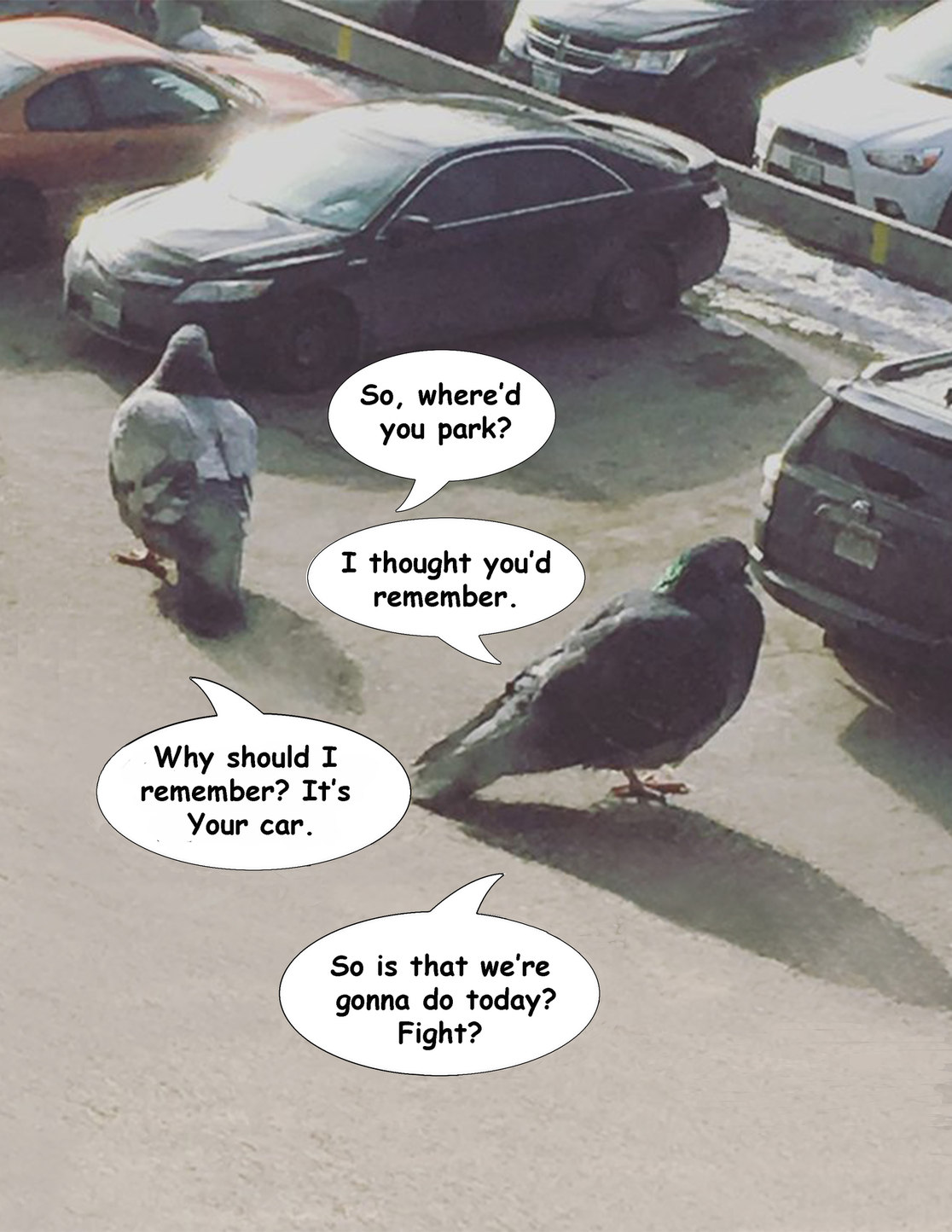 pigeons Meme by geraltofrivia1234 ) Memedroid