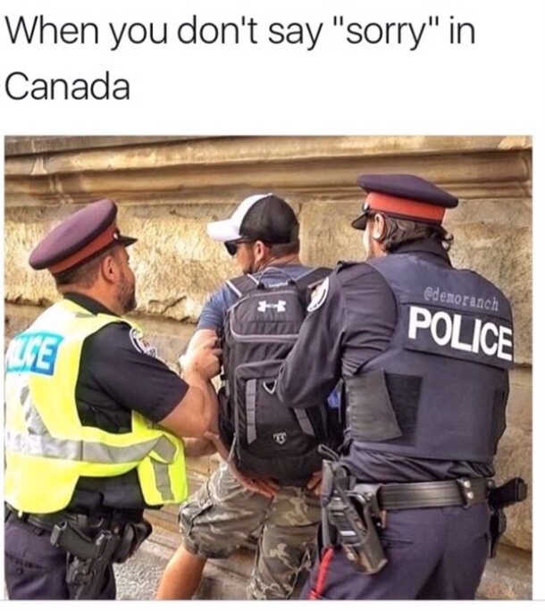 The best canadian memes ) Memedroid