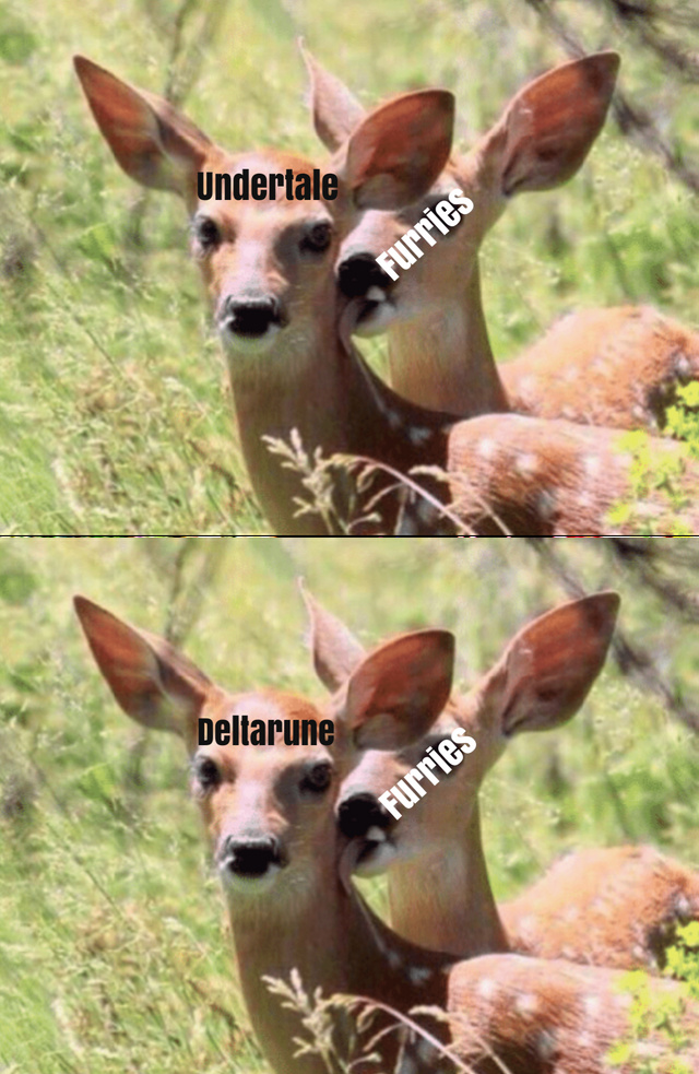 The best deer memes ) Memedroid