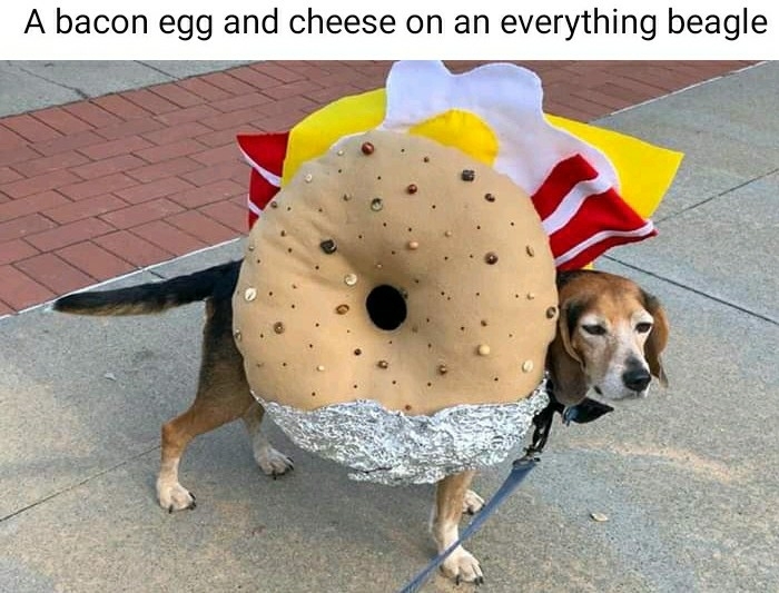 Bagel Meme by BickDigDaddy ) Memedroid